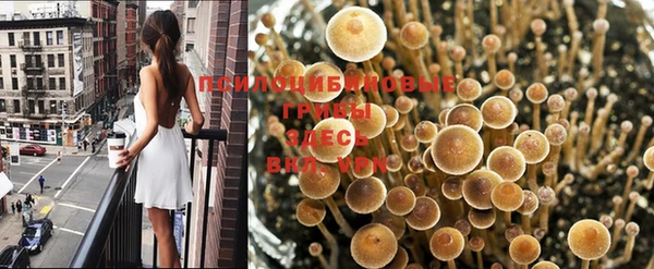 мескалин Абдулино